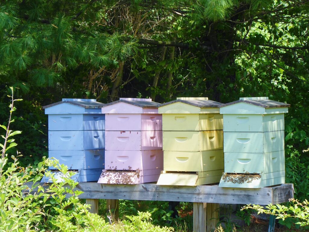 apiculture.fr/pourquoi-et-comment-peindre-les-ruches