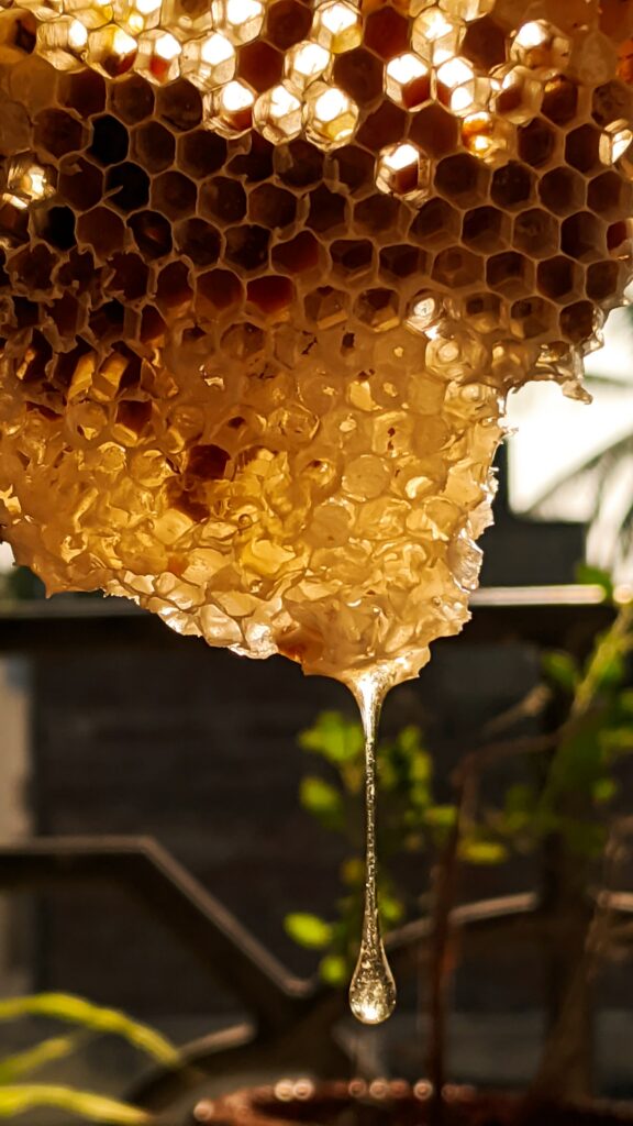 Le miel : un monde de délice