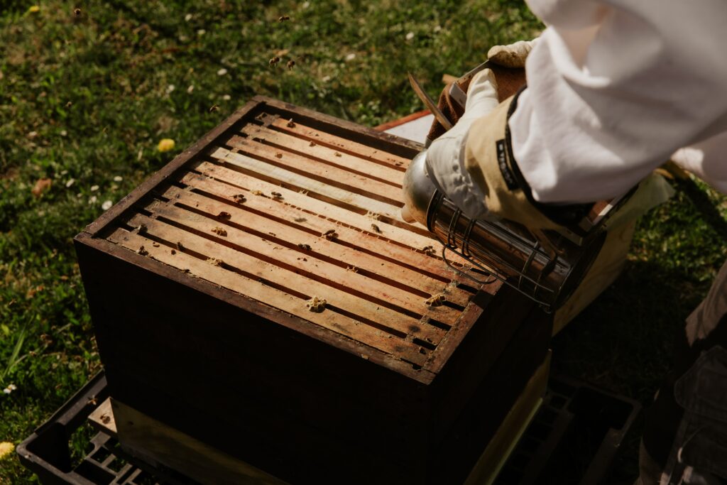 apiculture-quand-et-comment-utiliser-lenfumoir