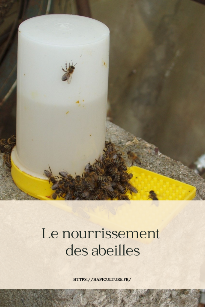 gavage-sucre-biberonnage-nourrissement-abeilles