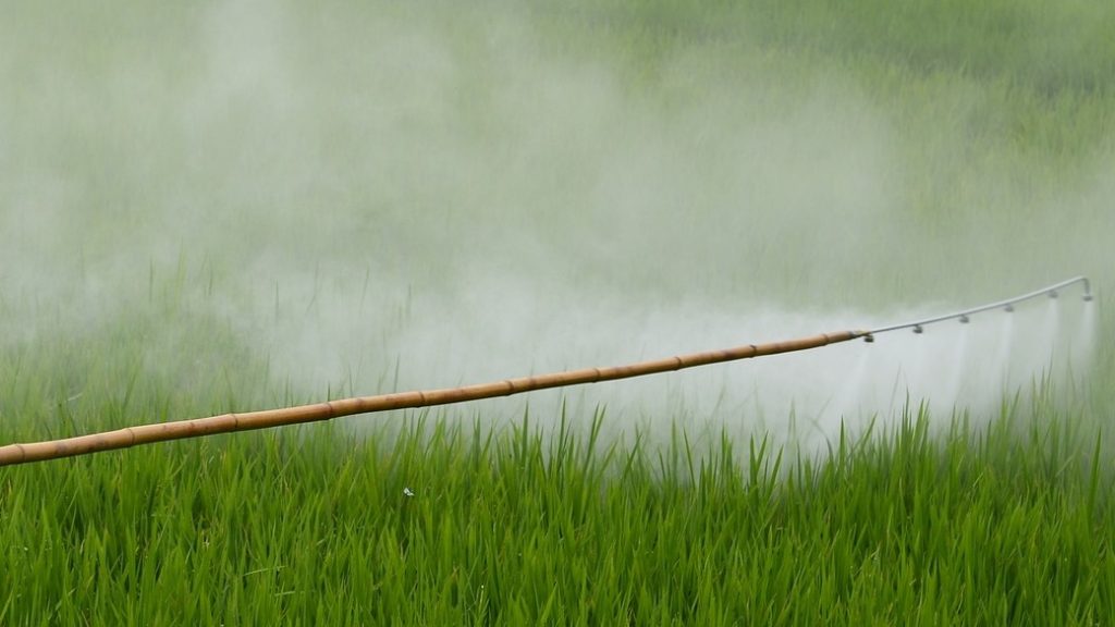 autorisation-de-mise-sur-le-marche-pour-le-glyphosate