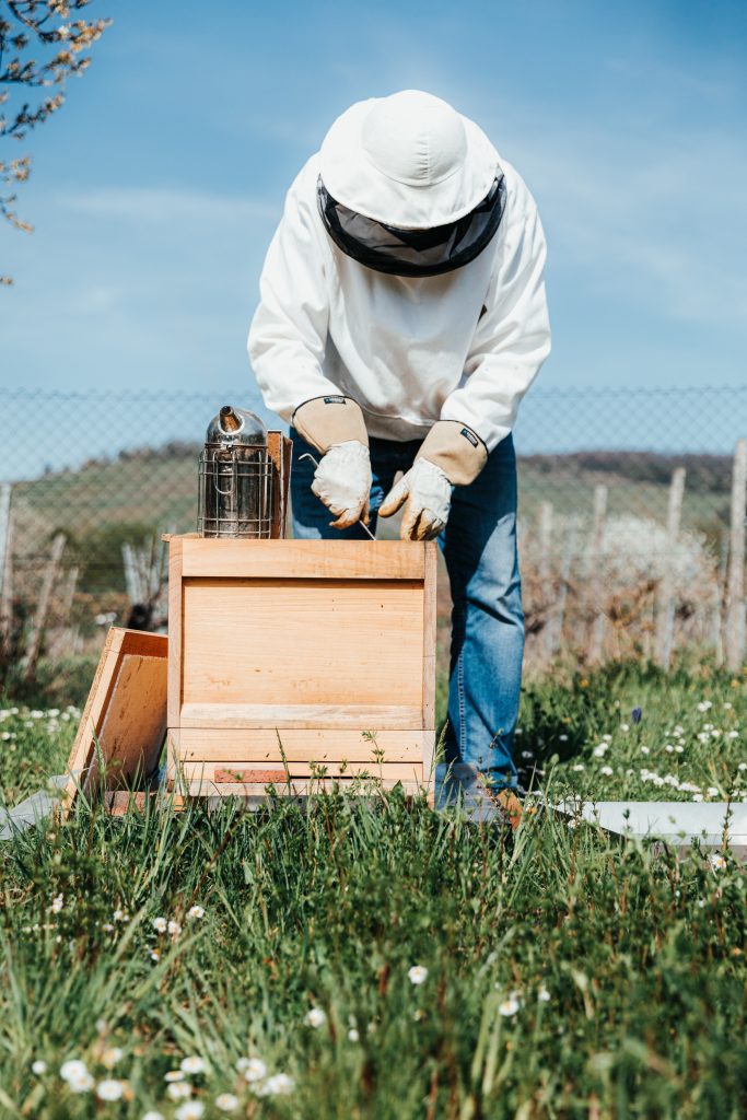 initier-apiculture-une-aventure-passionnante