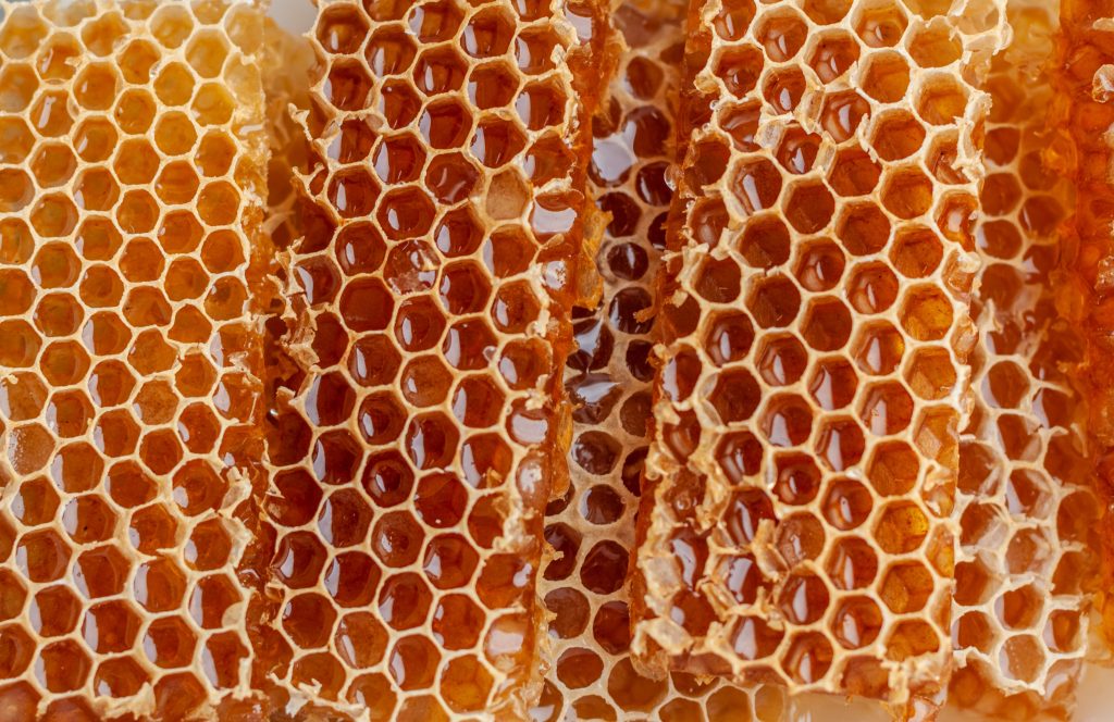 le-processus-de-recolte-du-miel