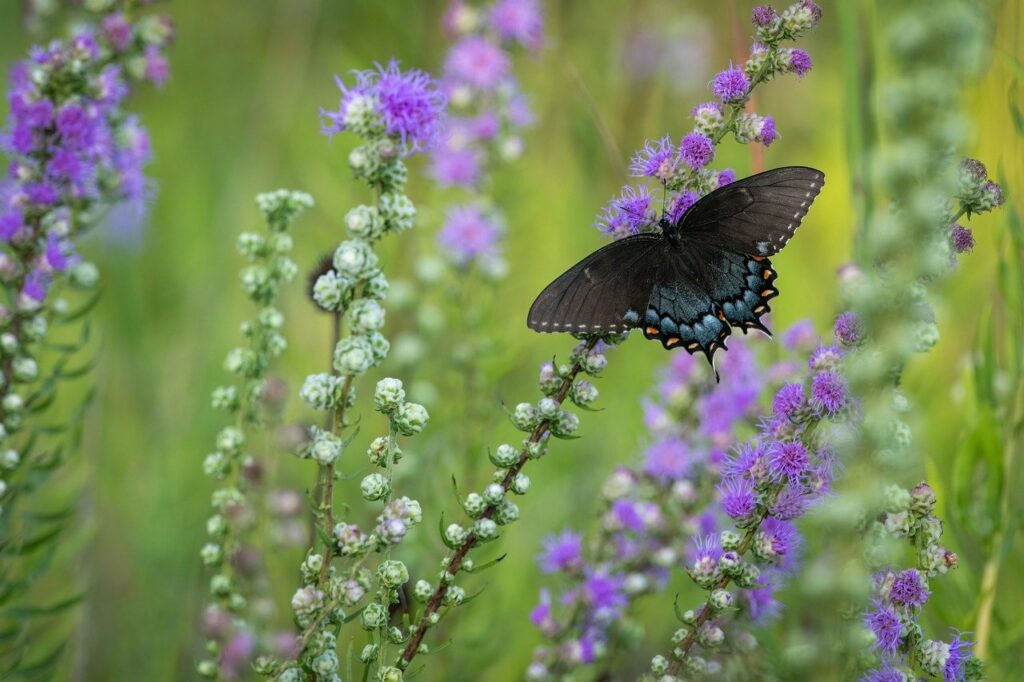 amenager-une-parcelle-de-nidification-pour-pollinisateurs